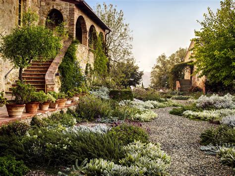 Tuscan gardens - Here are his professional tips for designing a Tuscan-style landscape. Dos: Do choose traditional Tuscan garden plants like olive trees, bay trees, old knobbly grape vines, and Mediterranean herbs such as lavender and sage. These plants bring the sensory experience of Tuscany to your garden with their fragrances and usefulness in the kitchen. 